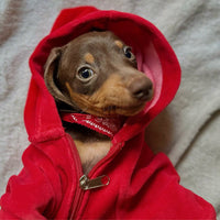 Abrigos e Impermeables