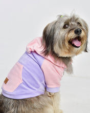Cargar imagen en el visor de la galería, Canguro Teddy - Lila y rosa bebe
