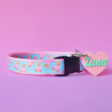 Collar Sweet Teddy