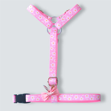 Conjunto arnés H Blossom