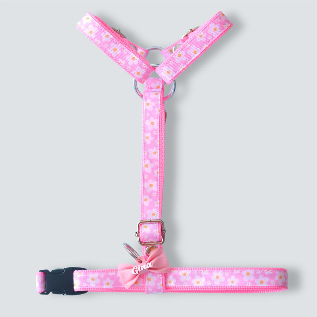 Conjunto arnés H Blossom