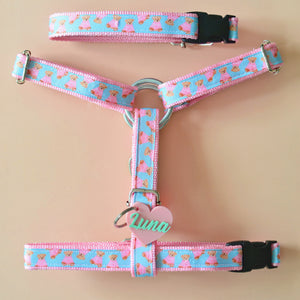 Conjunto arnés H Sweet Teddy