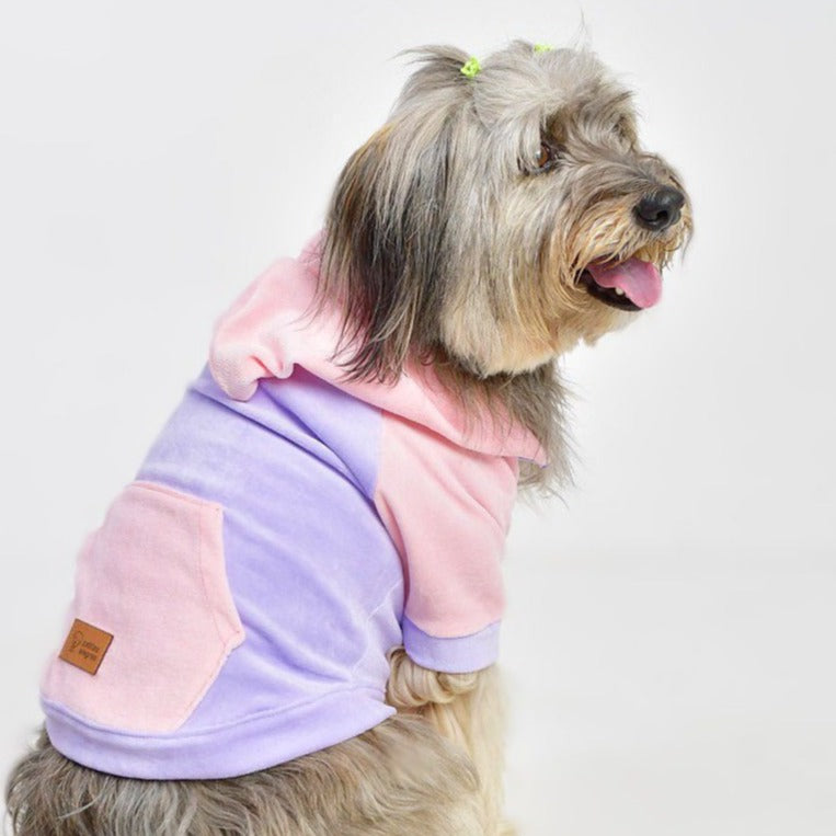 Canguro Teddy - Lila y rosa bebe