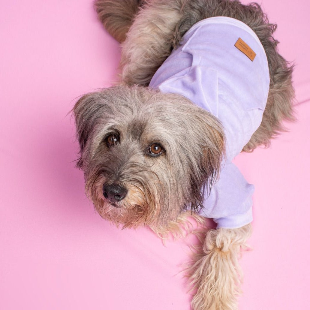 Canguro Teddy - Lila