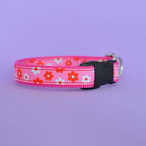 Collar Flower Power