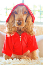 Cargar imagen en el visor de la galería, SALE Canguro Teddy- Rojo