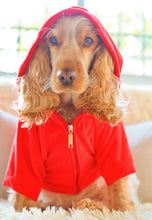 Cargar imagen en el visor de la galería, SALE Canguro Teddy- Rojo