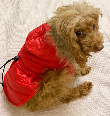 Impermeable rojo con capucha