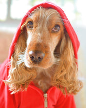 Cargar imagen en el visor de la galería, SALE Canguro Teddy- Rojo